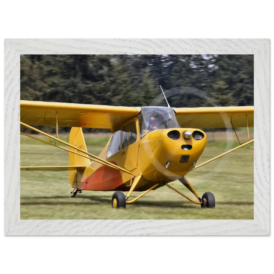 Aeronca Champ Taxiing - Print Material - Gifts for pilots - Aviation apparel