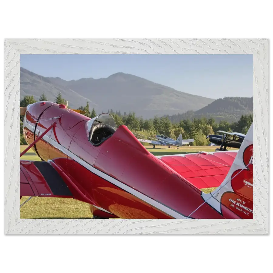 Ryan ST-A Special – Grace in Motion - Print Material - Gifts for pilots - Aviation apparel