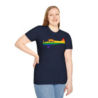 Cessna 170 Rainbow Pride Airplane Silhouette