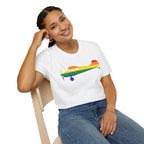 Cessna 170 Rainbow Pride Airplane Silhouette