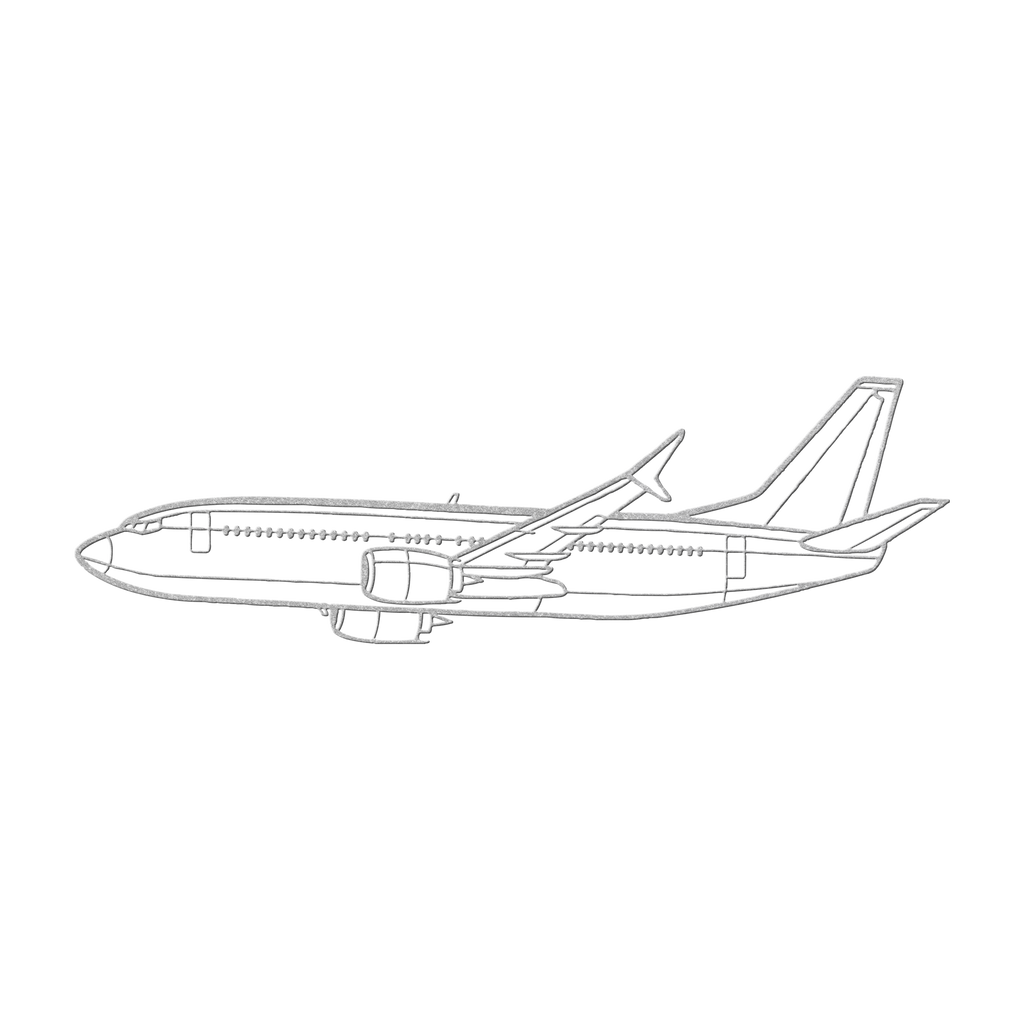 737-800NG Die Cut Metal Wall Art - Sign - Gifts for pilots - Aviation apparel