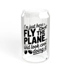 Aviation-Themed Sipper Glass Fly the Plane Drinkware Cool Gift for Pilots Air Travel Lovers Summer BBQs Unique Party