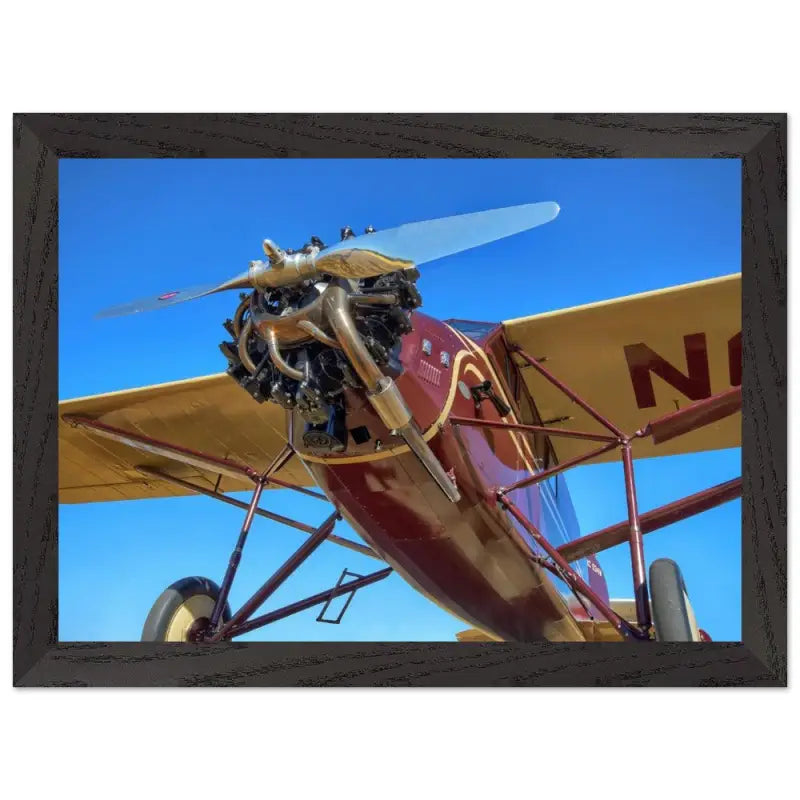 Blue Sky Classic: Stinson SM8A in Profile - Print Material - Gifts for pilots - Aviation apparel