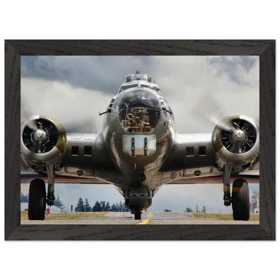 Boeing B-17G Flying Fortress - The Mighty - Print Material - Gifts for pilots - Aviation apparel