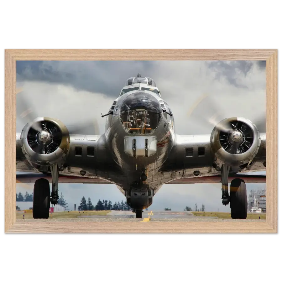 Boeing B-17G Flying Fortress - The Mighty - Print Material - Gifts for pilots - Aviation apparel