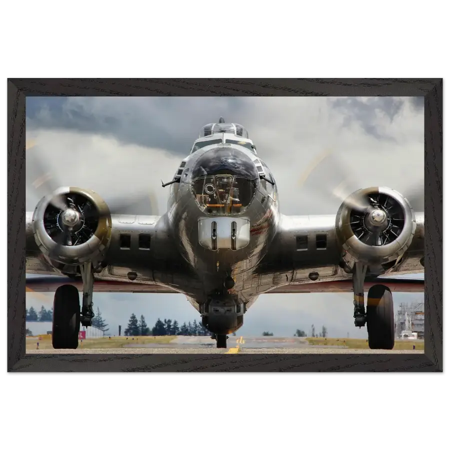 Boeing B-17G Flying Fortress - The Mighty - Print Material - Gifts for pilots - Aviation apparel