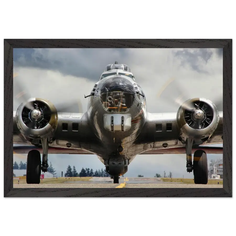 Boeing B-17G Flying Fortress - The Mighty - Print Material - Gifts for pilots - Aviation apparel