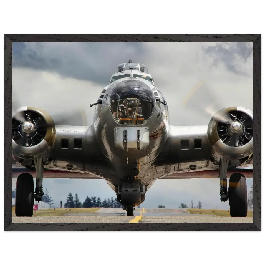 Boeing B-17G Flying Fortress - The Mighty - Print Material - Gifts for pilots - Aviation apparel