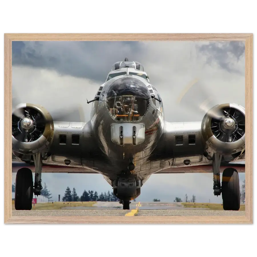Boeing B-17G Flying Fortress - The Mighty - Print Material - Gifts for pilots - Aviation apparel