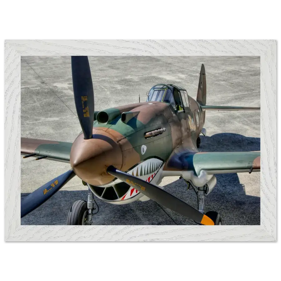 Curtiss P-40C Tomahawk - Print Material - Gifts for pilots - Aviation apparel