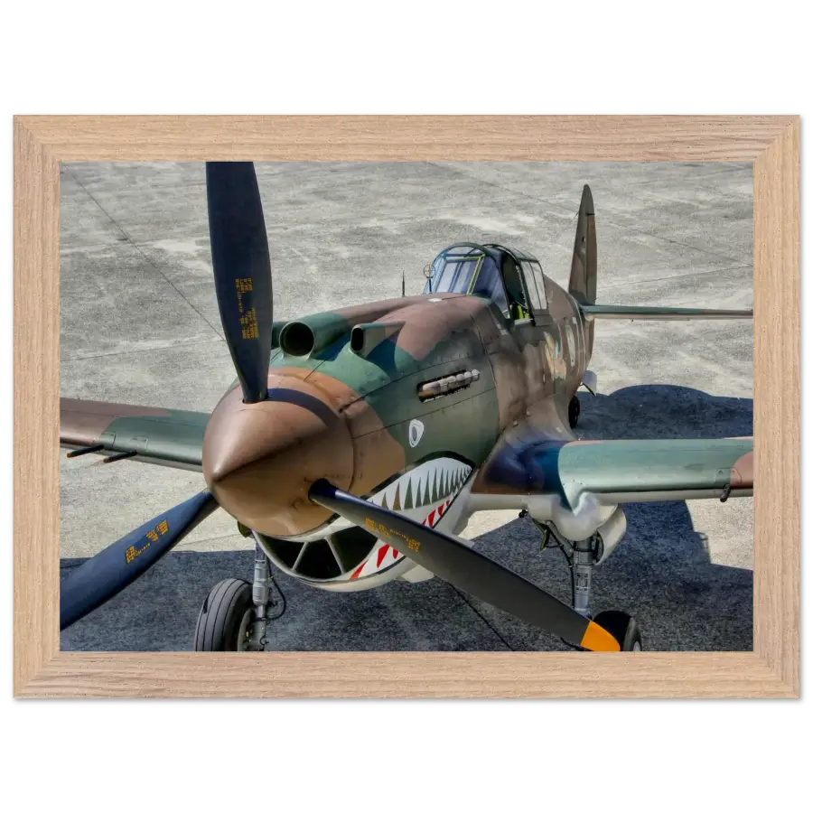 Curtiss P-40C Tomahawk - Print Material - Gifts for pilots - Aviation apparel