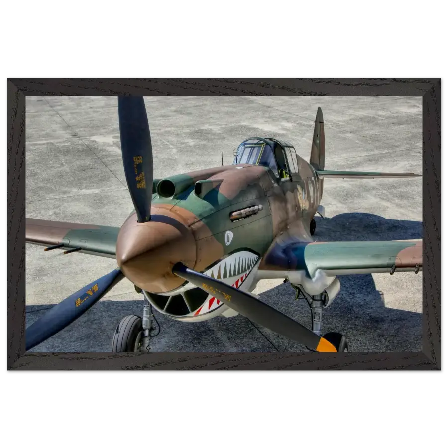 Curtiss P-40C Tomahawk - Print Material - Gifts for pilots - Aviation apparel