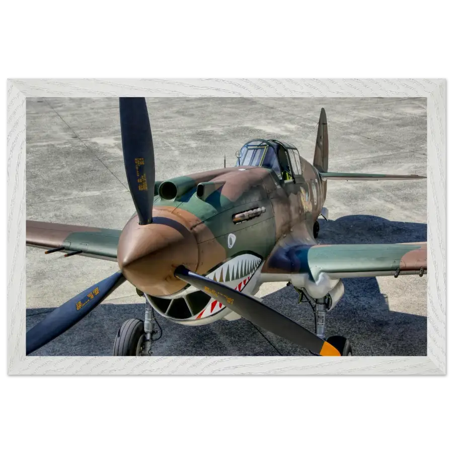 Curtiss P-40C Tomahawk - Print Material - Gifts for pilots - Aviation apparel