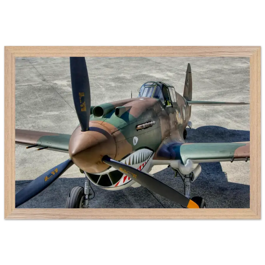 Curtiss P-40C Tomahawk - Print Material - Gifts for pilots - Aviation apparel