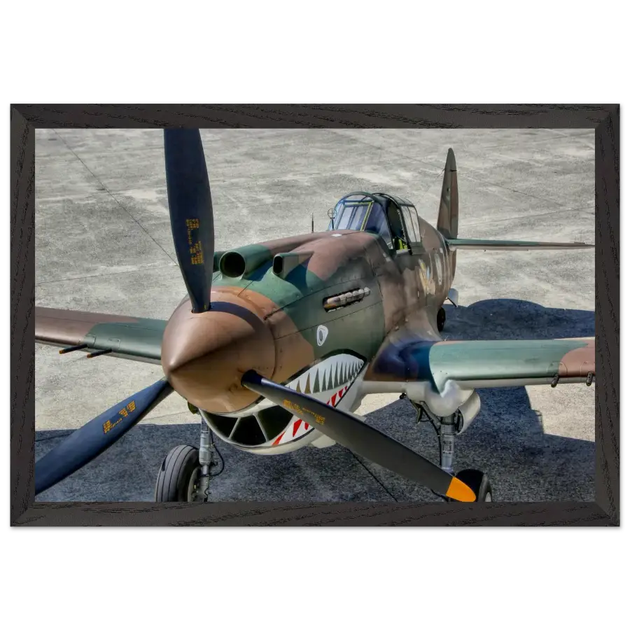 Curtiss P-40C Tomahawk - Print Material - Gifts for pilots - Aviation apparel