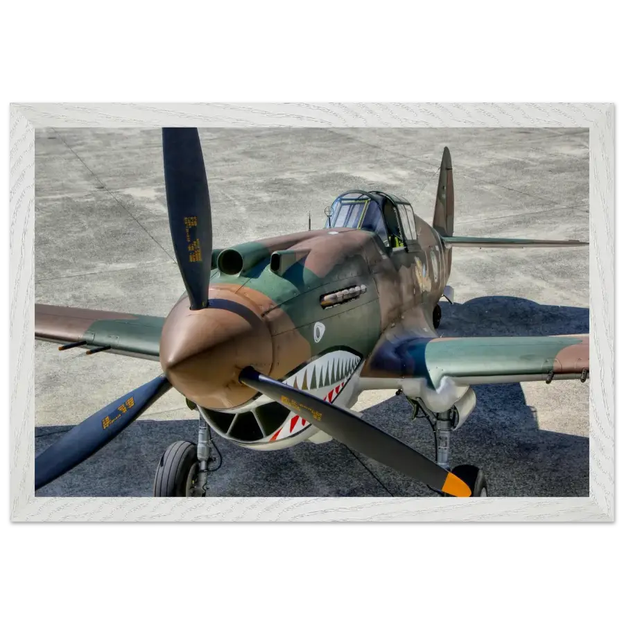 Curtiss P-40C Tomahawk - Print Material - Gifts for pilots - Aviation apparel