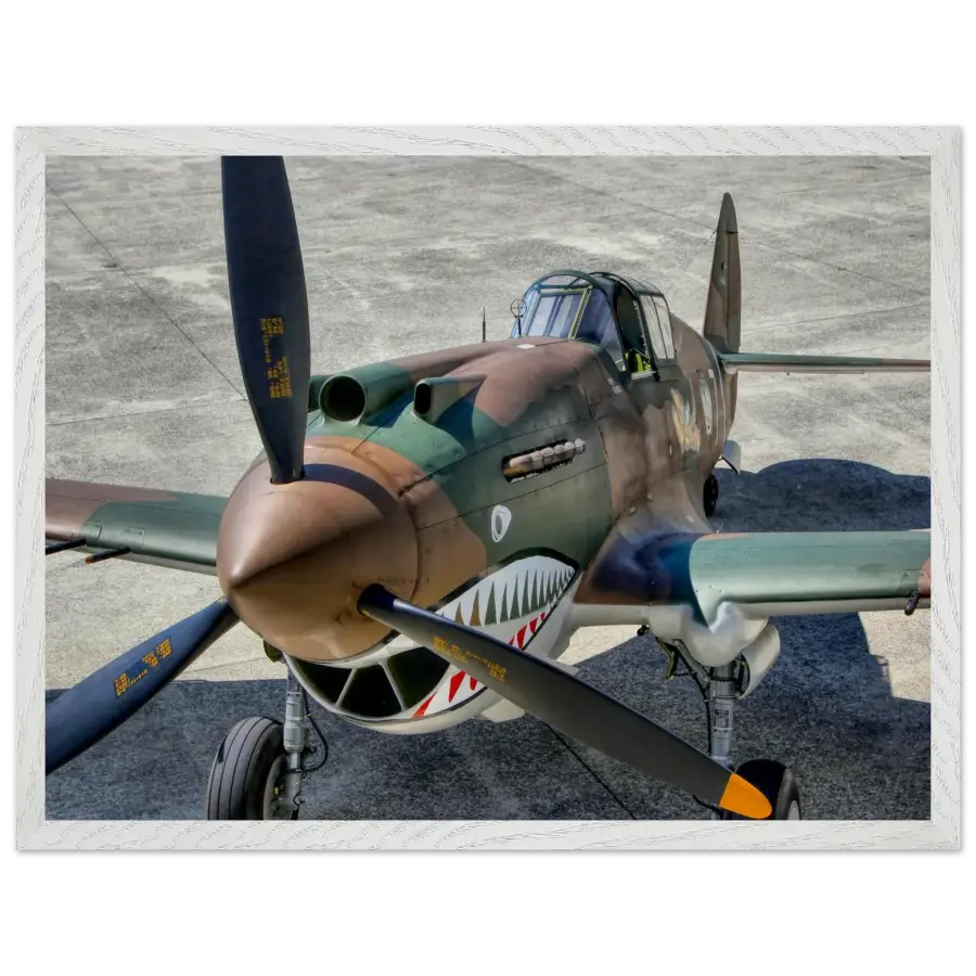 Curtiss P-40C Tomahawk - Print Material - Gifts for pilots - Aviation apparel