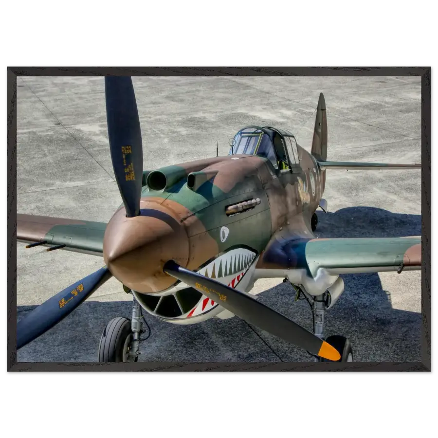 Curtiss P-40C Tomahawk - Print Material - Gifts for pilots - Aviation apparel