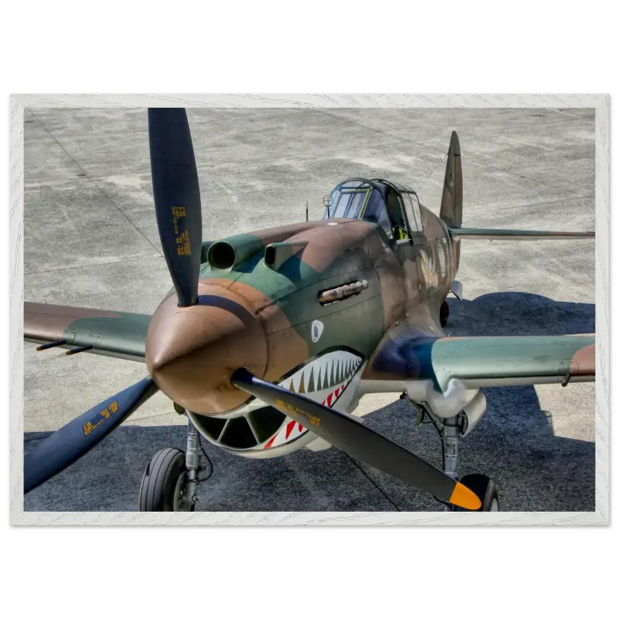 Curtiss P-40C Tomahawk - Print Material - Gifts for pilots - Aviation apparel