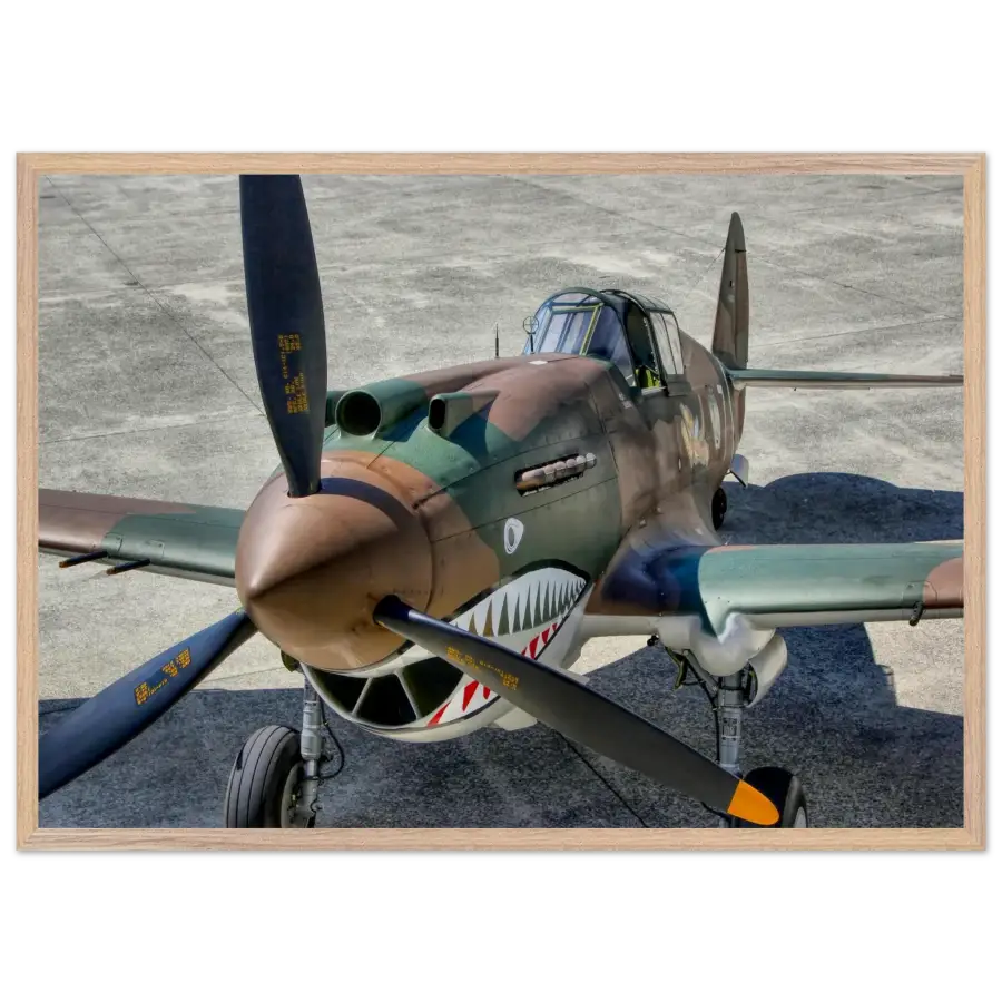 Curtiss P-40C Tomahawk - Print Material - Gifts for pilots - Aviation apparel