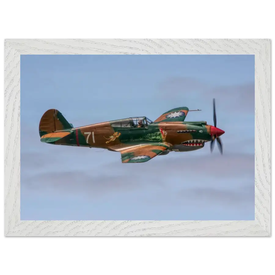 Curtiss P-40C Tomahawk - Grace and Grit in the Sky - Print Material - Gifts for pilots - Aviation apparel