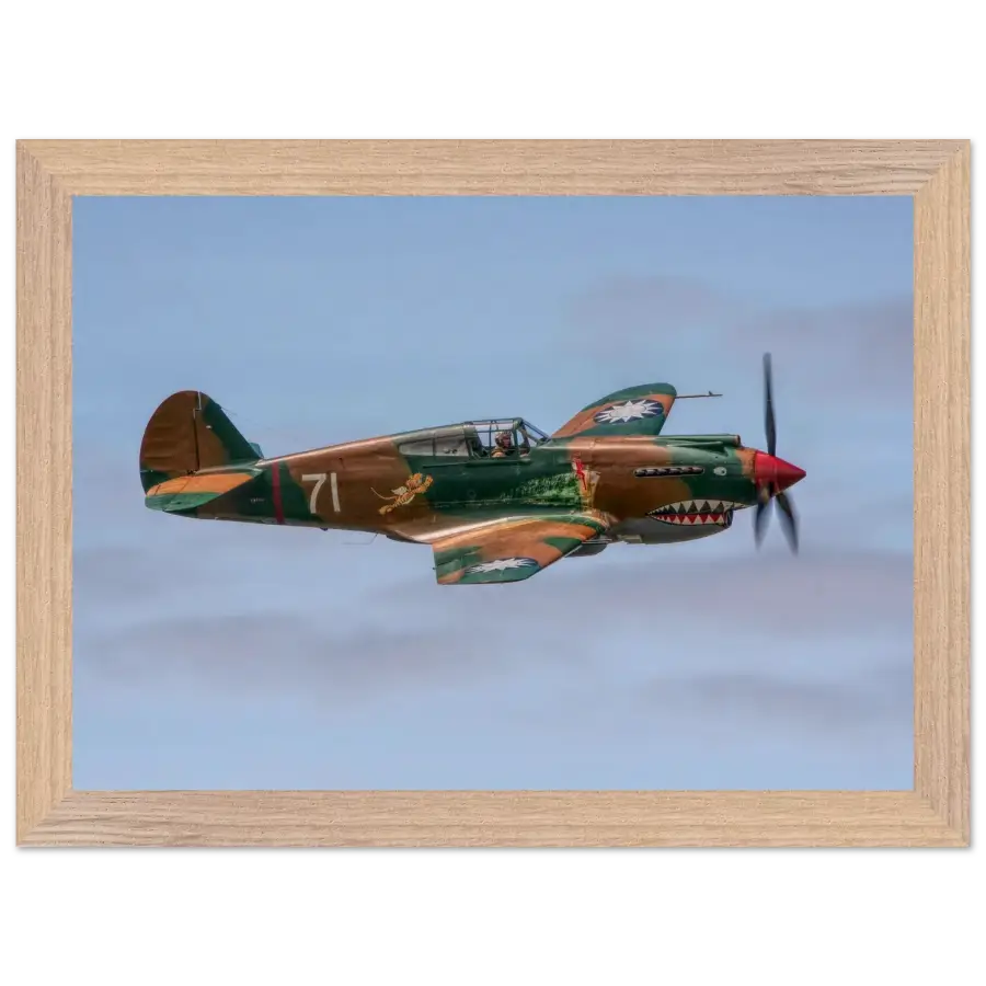 Curtiss P-40C Tomahawk - Grace and Grit in the Sky - Print Material - Gifts for pilots - Aviation apparel
