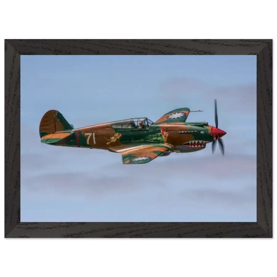 Curtiss P-40C Tomahawk - Grace and Grit in the Sky - Print Material - Gifts for pilots - Aviation apparel