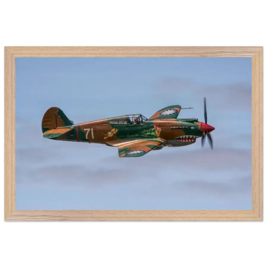 Curtiss P-40C Tomahawk - Grace and Grit in the Sky - Print Material - Gifts for pilots - Aviation apparel