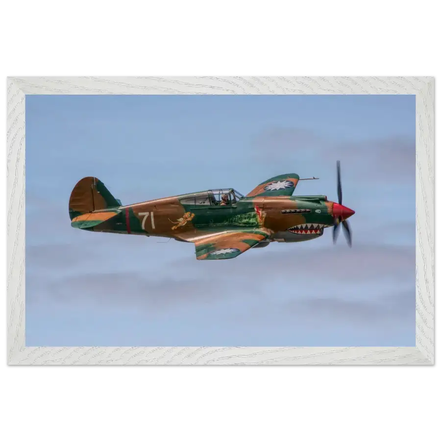 Curtiss P-40C Tomahawk - Grace and Grit in the Sky - Print Material - Gifts for pilots - Aviation apparel