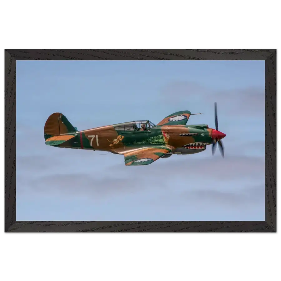 Curtiss P-40C Tomahawk - Grace and Grit in the Sky - Print Material - Gifts for pilots - Aviation apparel
