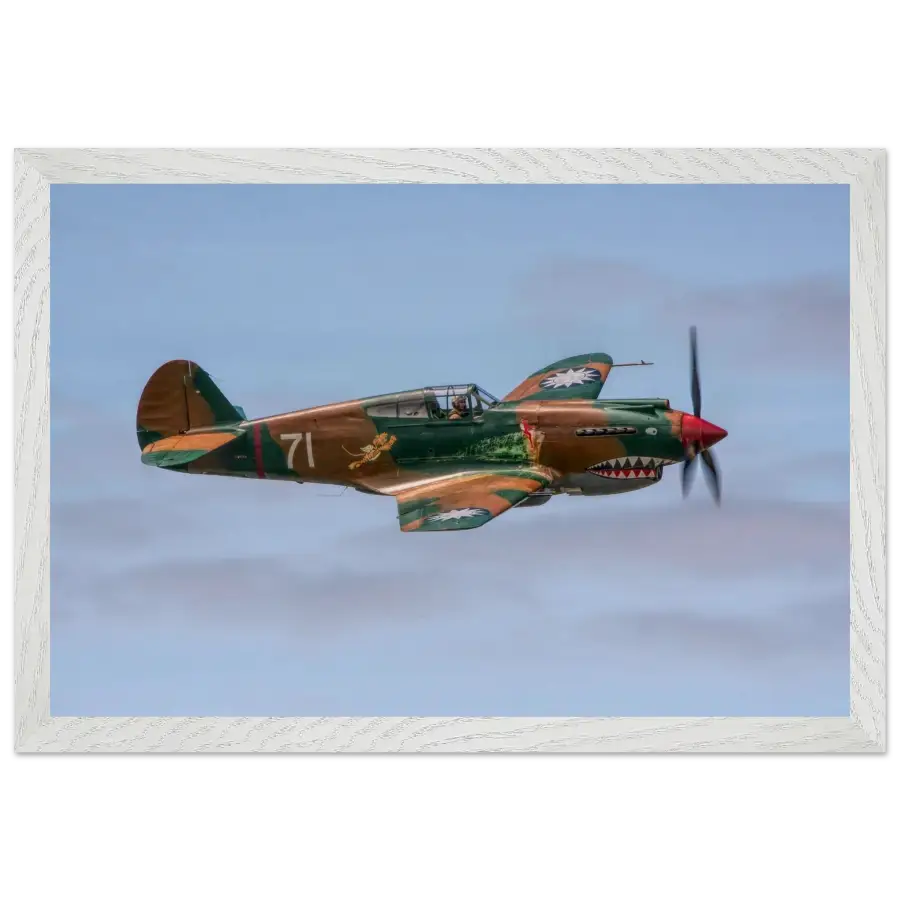 Curtiss P-40C Tomahawk - Grace and Grit in the Sky - Print Material - Gifts for pilots - Aviation apparel