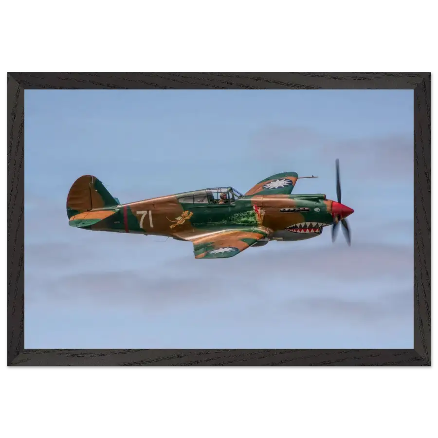 Curtiss P-40C Tomahawk - Grace and Grit in the Sky - Print Material - Gifts for pilots - Aviation apparel