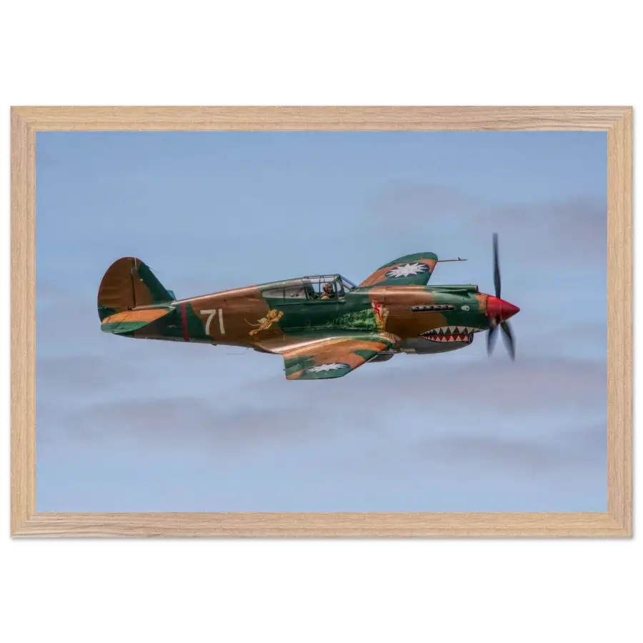 Curtiss P-40C Tomahawk - Grace and Grit in the Sky - Print Material - Gifts for pilots - Aviation apparel