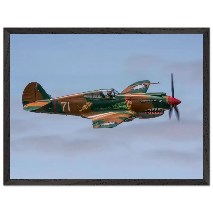 Curtiss P-40C Tomahawk - Grace and Grit in the Sky - Print Material - Gifts for pilots - Aviation apparel