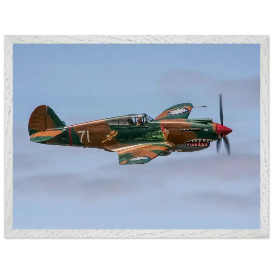 Curtiss P-40C Tomahawk - Grace and Grit in the Sky - Print Material - Gifts for pilots - Aviation apparel