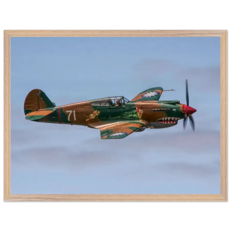 Curtiss P-40C Tomahawk - Grace and Grit in the Sky - Print Material - Gifts for pilots - Aviation apparel