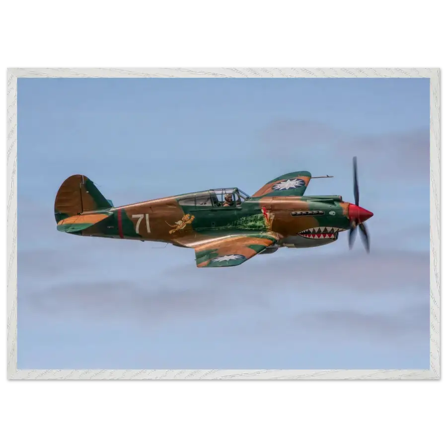 Curtiss P-40C Tomahawk - Grace and Grit in the Sky - Print Material - Gifts for pilots - Aviation apparel