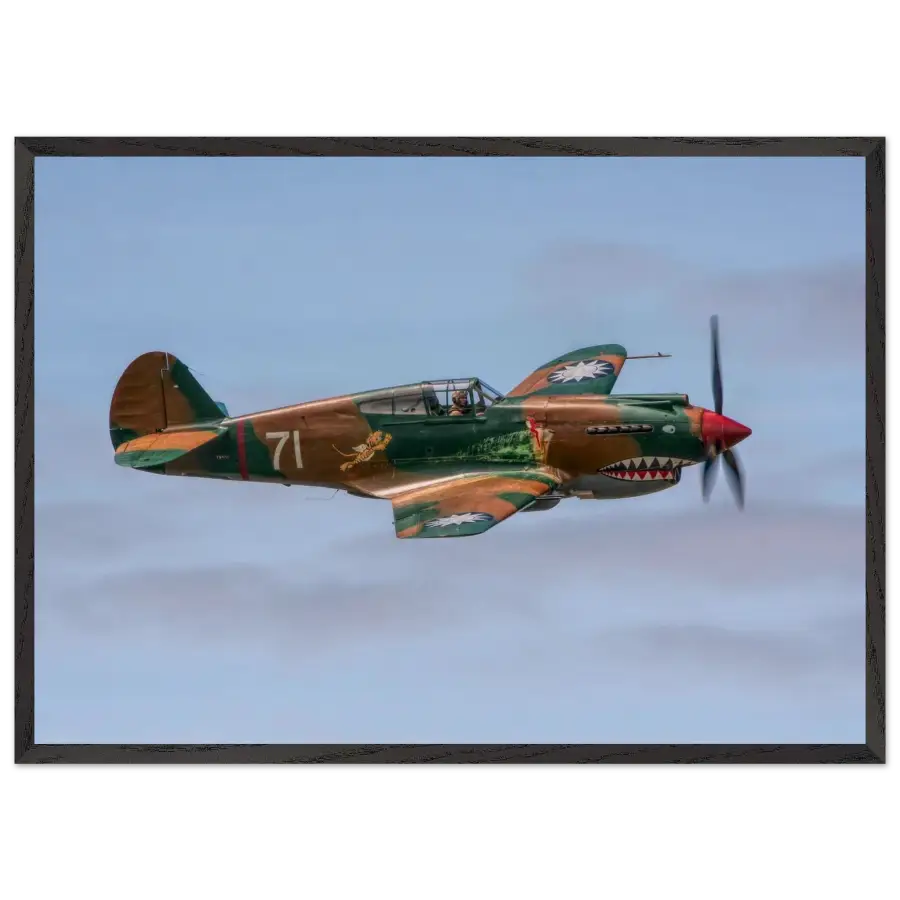Curtiss P-40C Tomahawk - Grace and Grit in the Sky - Print Material - Gifts for pilots - Aviation apparel