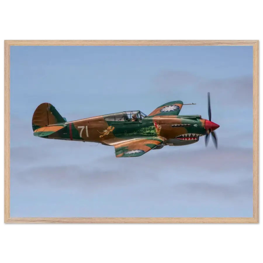 Curtiss P-40C Tomahawk - Grace and Grit in the Sky - Print Material - Gifts for pilots - Aviation apparel