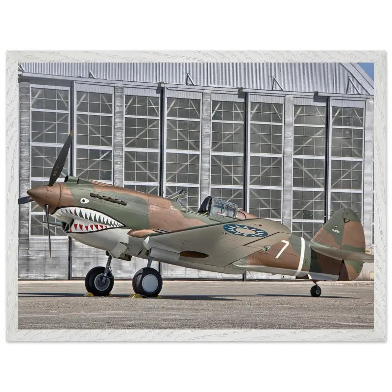 Curtiss P-40C Tomahawk Parked with AVG First Pursuit Squadron Markings - Print Material - Gifts for pilots - Aviation