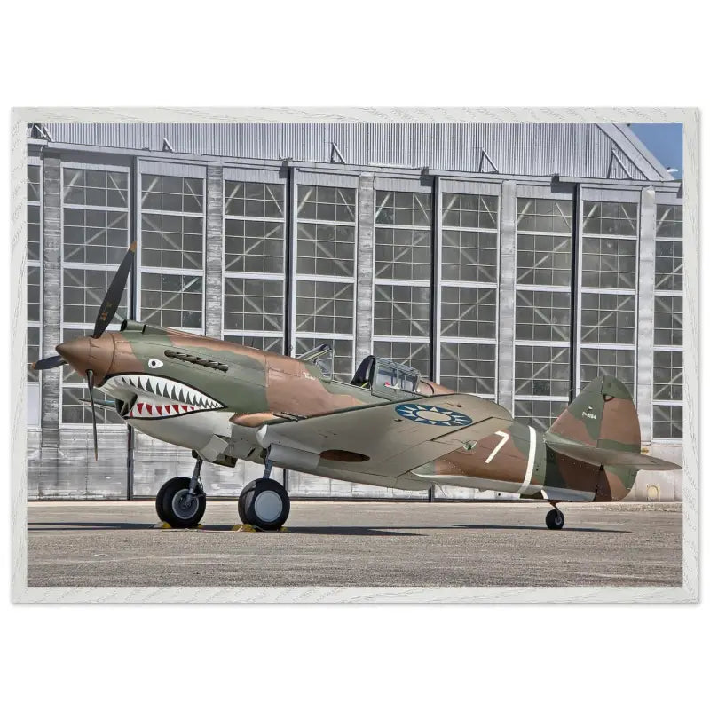 Curtiss P-40C Tomahawk Parked with AVG First Pursuit Squadron Markings - Print Material - Gifts for pilots - Aviation