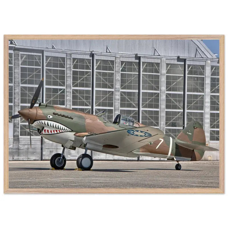 Curtiss P-40C Tomahawk Parked with AVG First Pursuit Squadron Markings - Print Material - Gifts for pilots - Aviation