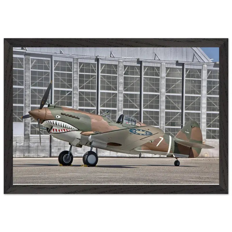 Curtiss P-40C Tomahawk Parked with AVG First Pursuit Squadron Markings - Print Material - Gifts for pilots - Aviation