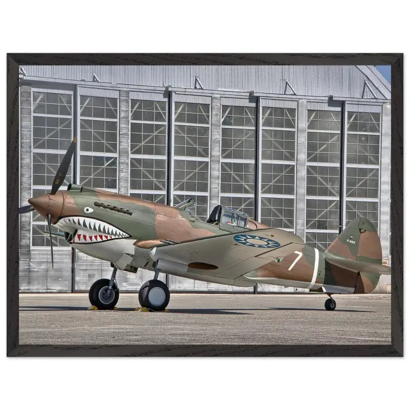 Curtiss P-40C Tomahawk Parked with AVG First Pursuit Squadron Markings - Print Material - Gifts for pilots - Aviation