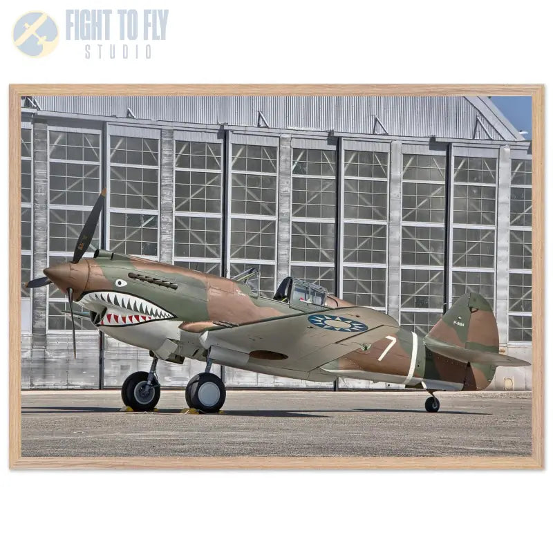 Curtiss P-40C Tomahawk Parked with AVG First Pursuit Squadron Markings - Print Material - Gifts for pilots - Aviation