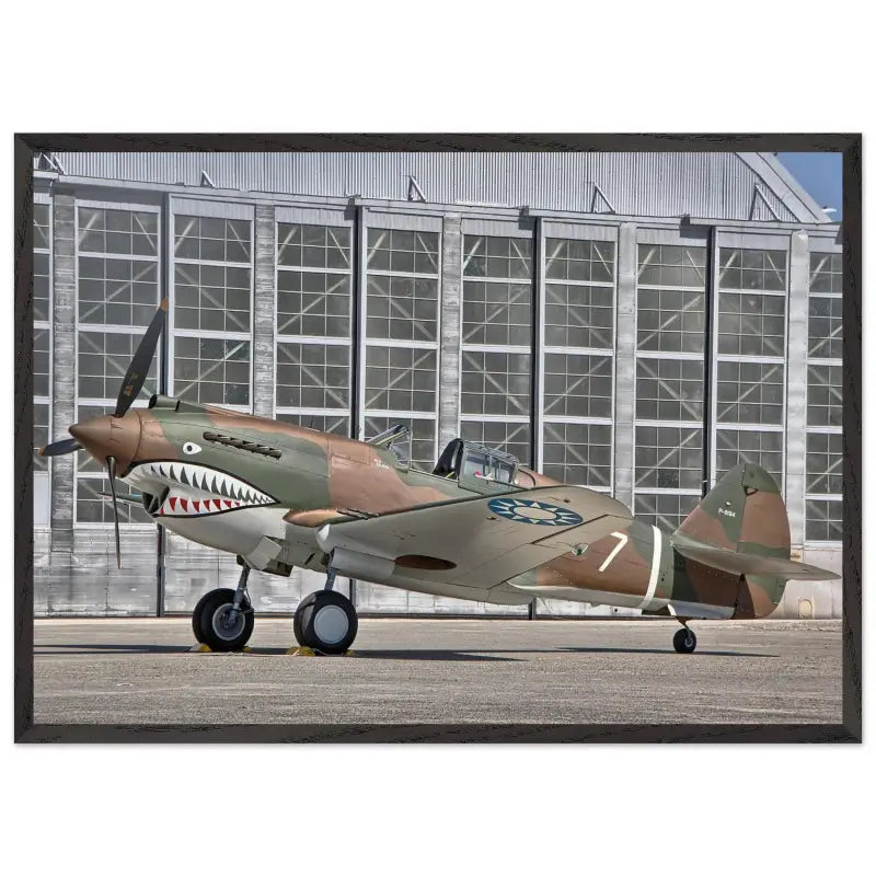 Curtiss P-40C Tomahawk Parked with AVG First Pursuit Squadron Markings - Print Material - Gifts for pilots - Aviation