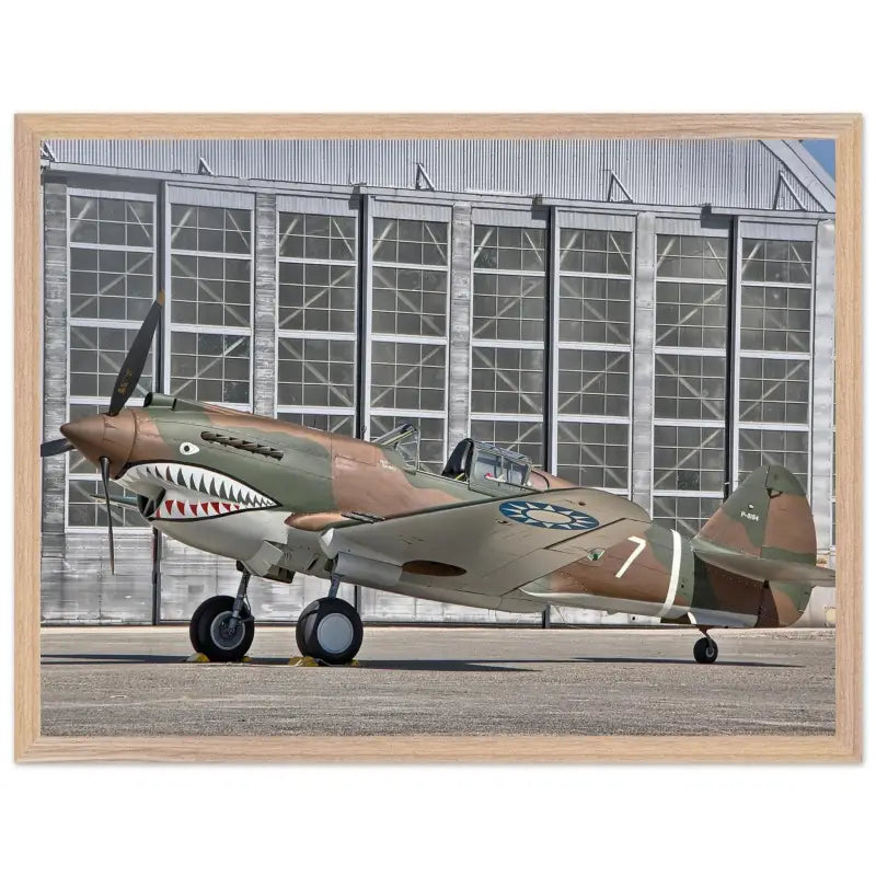Curtiss P-40C Tomahawk Parked with AVG First Pursuit Squadron Markings - Print Material - Gifts for pilots - Aviation