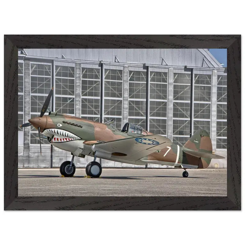 Curtiss P-40C Tomahawk Parked with AVG First Pursuit Squadron Markings - Print Material - Gifts for pilots - Aviation