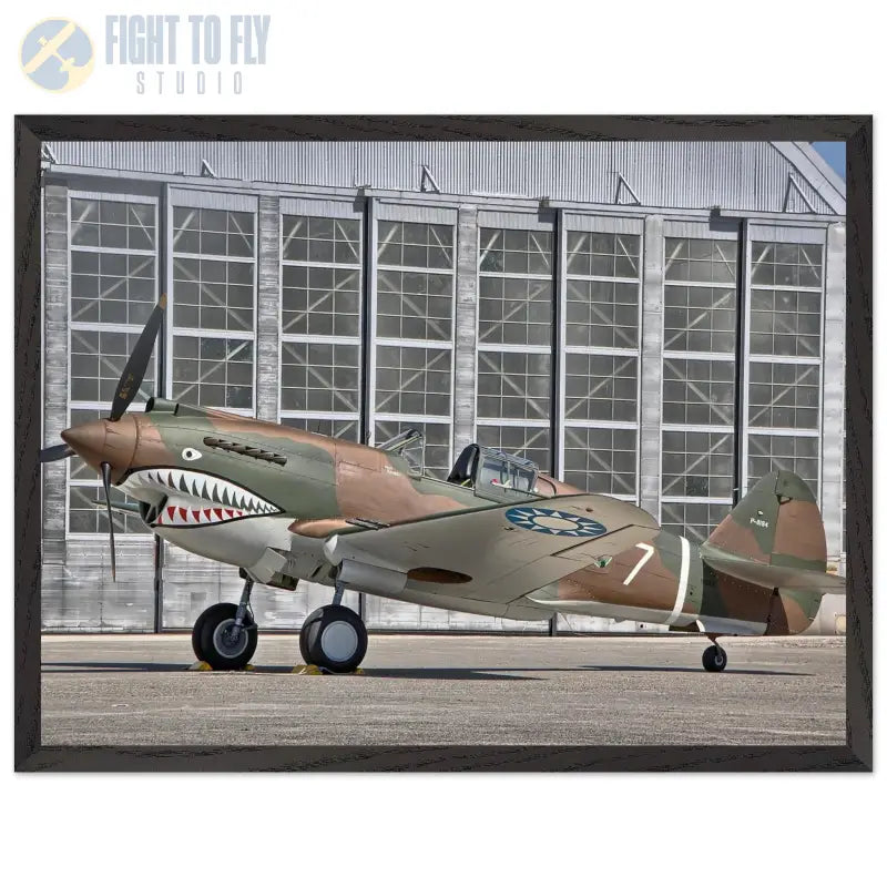 Curtiss P-40C Tomahawk Parked with AVG First Pursuit Squadron Markings - Print Material - Gifts for pilots - Aviation