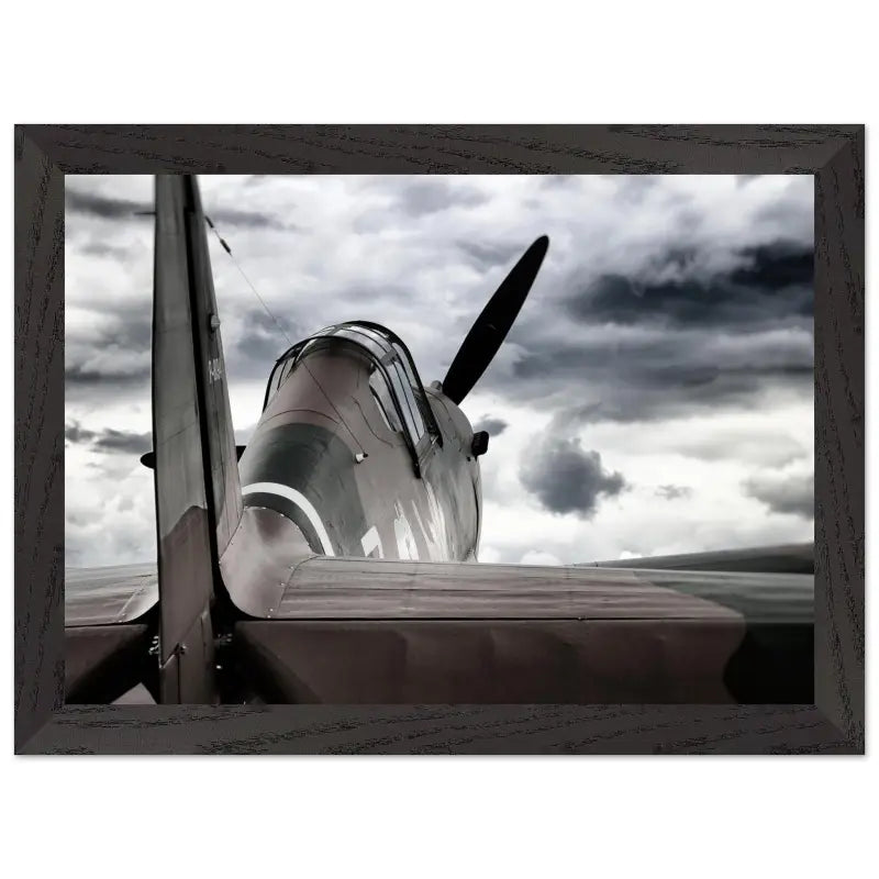 Curtiss P-40C Tomahawk with Moody Sky - Print Material - Gifts for pilots - Aviation apparel